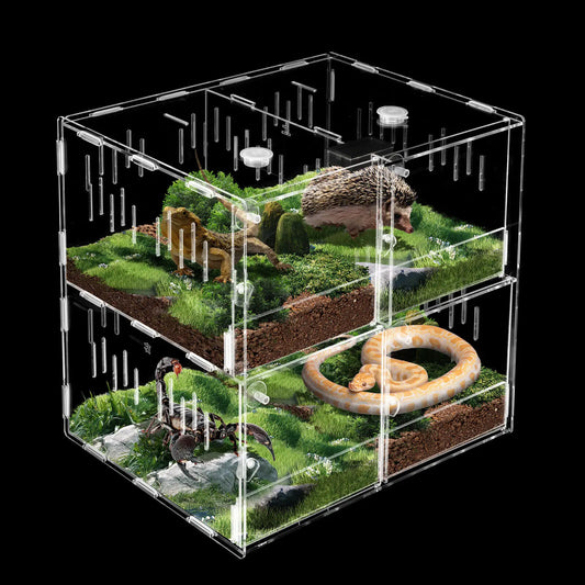 Color Acrylic 4 Grids Reptile Cage Breeding Box Terrarium
