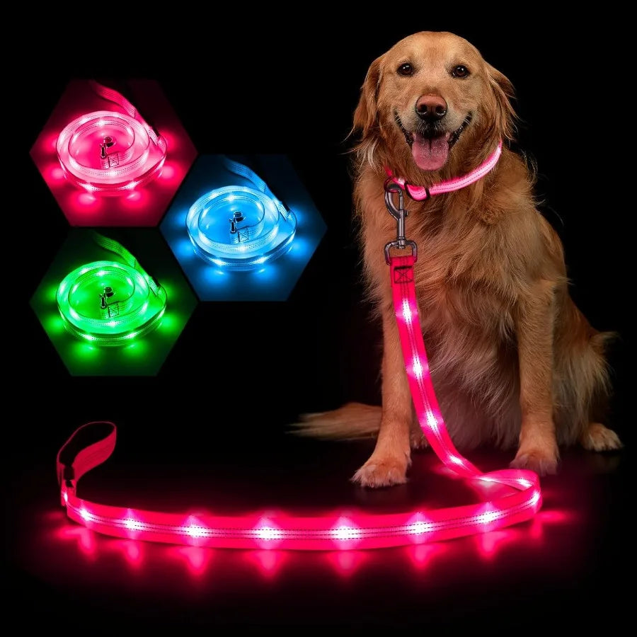 LED Dog Leash Light-Up Glow-In-The-Dark Rechargeable Waterproof
