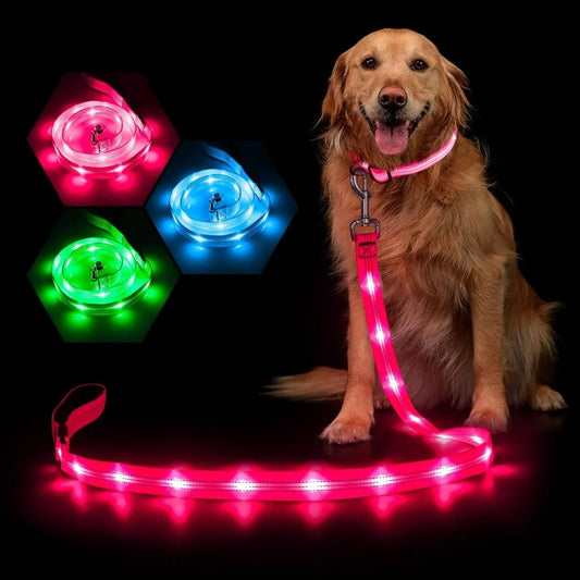 LED Dog Leash Light-Up Glow-In-The-Dark Rechargeable Waterproof